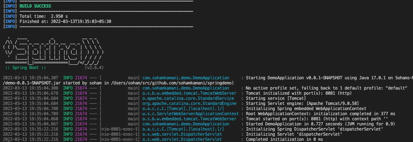 terminal message with spring ascii logo shown on application startup